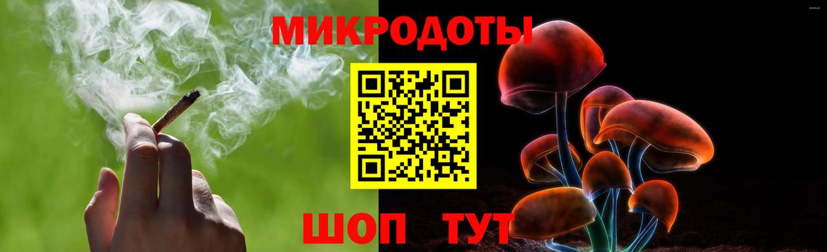 Галлюциногенные грибы Cubensis Избербаш